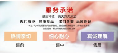 天子貴休閑食品 一站式商貿(mào)代理與批發(fā)指南