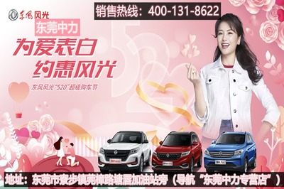 東莞市中力汽車(chē)銷(xiāo)售